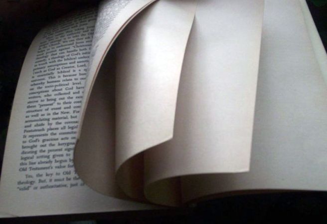 800px-Blank_page_intentionally_end_of_book